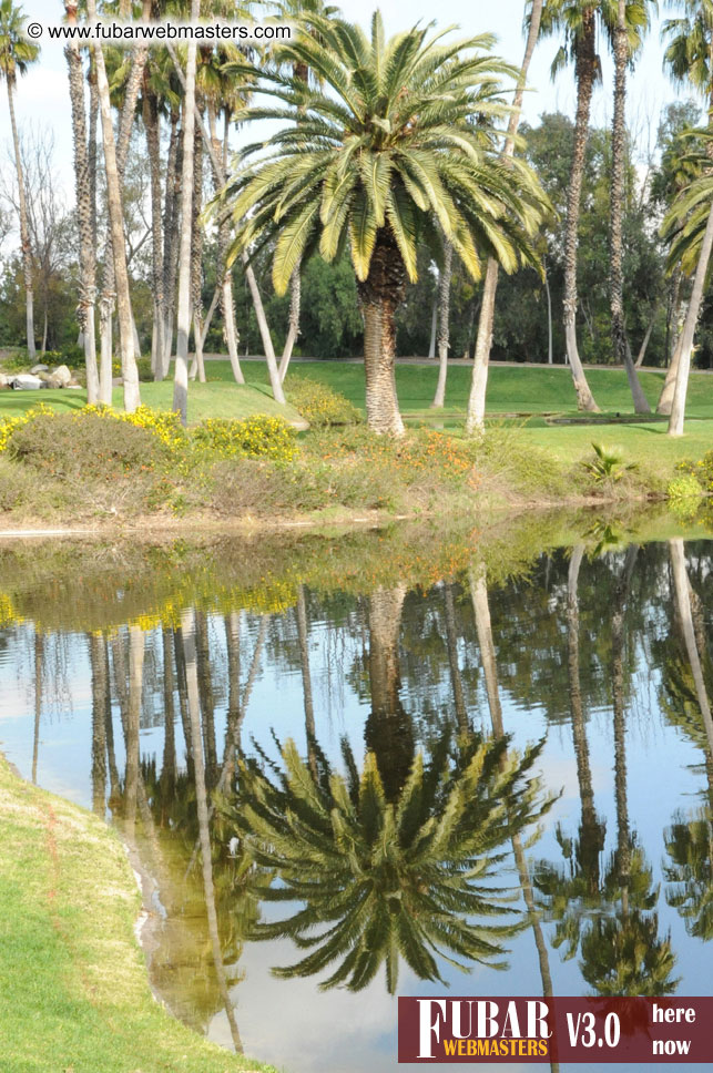 The XBiz Golf Tournament