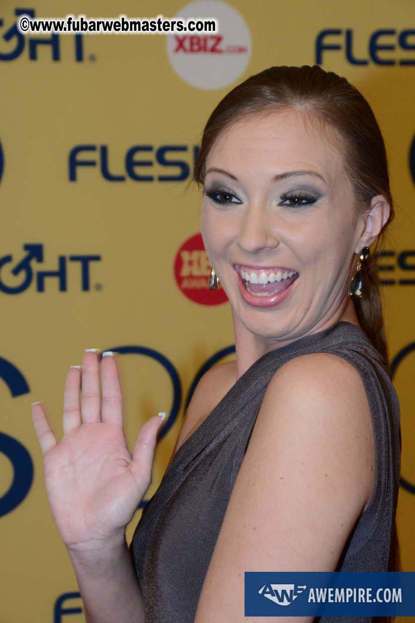 XBIZ Awards 2013