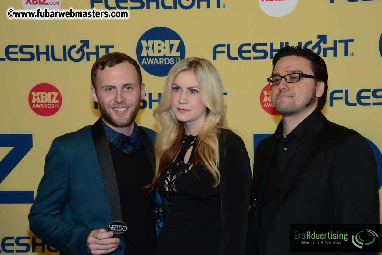 XBIZ Awards 2013