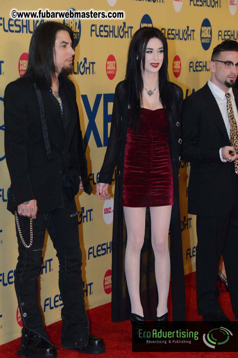 XBIZ Awards 2013