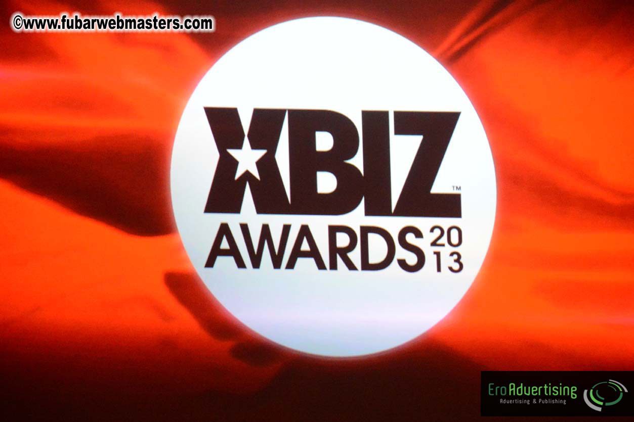 XBIZ Awards 2013