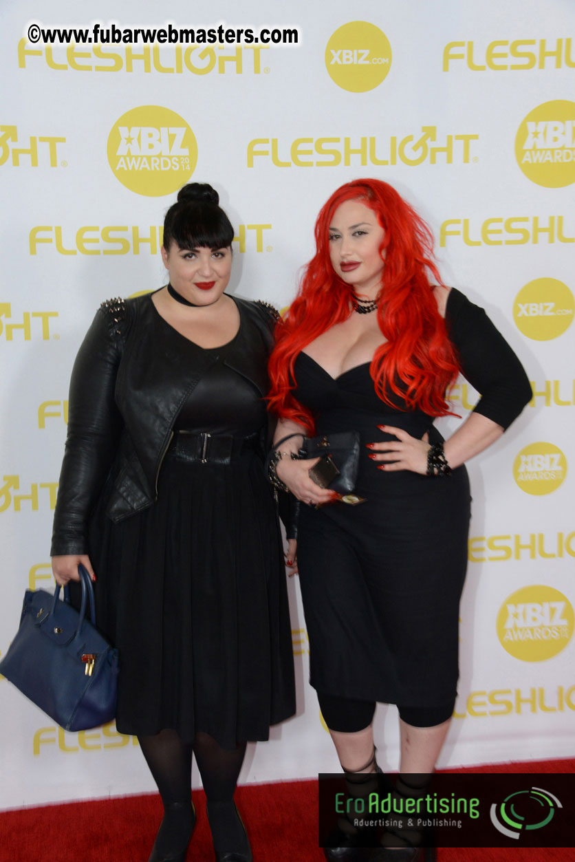 2014 XBIZ Awards