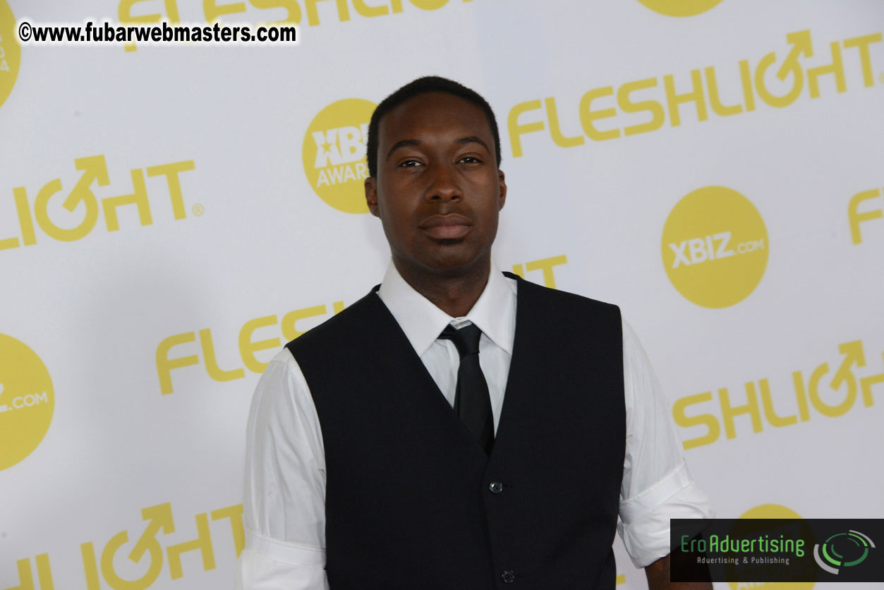 2014 XBIZ Awards