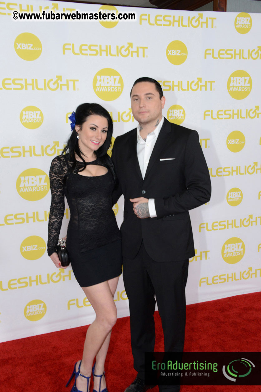 2014 XBIZ Awards
