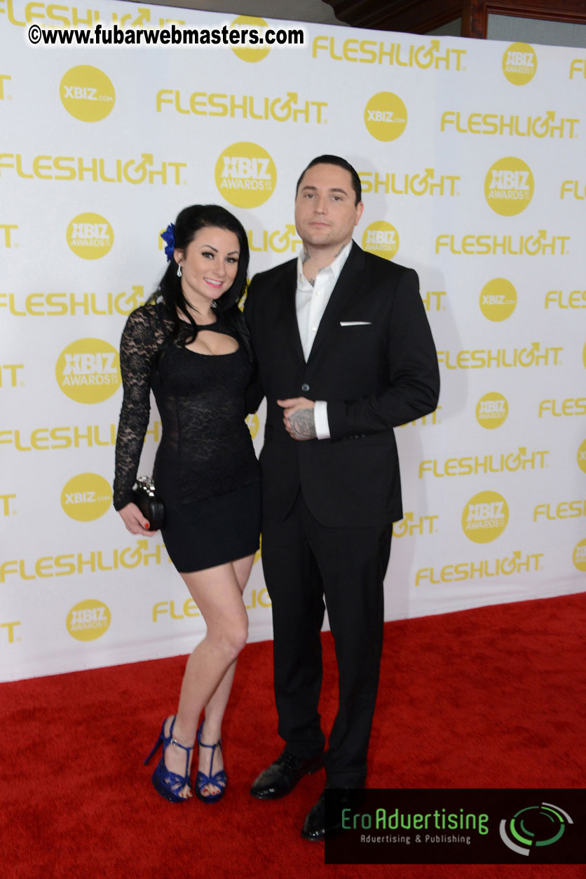2014 XBIZ Awards