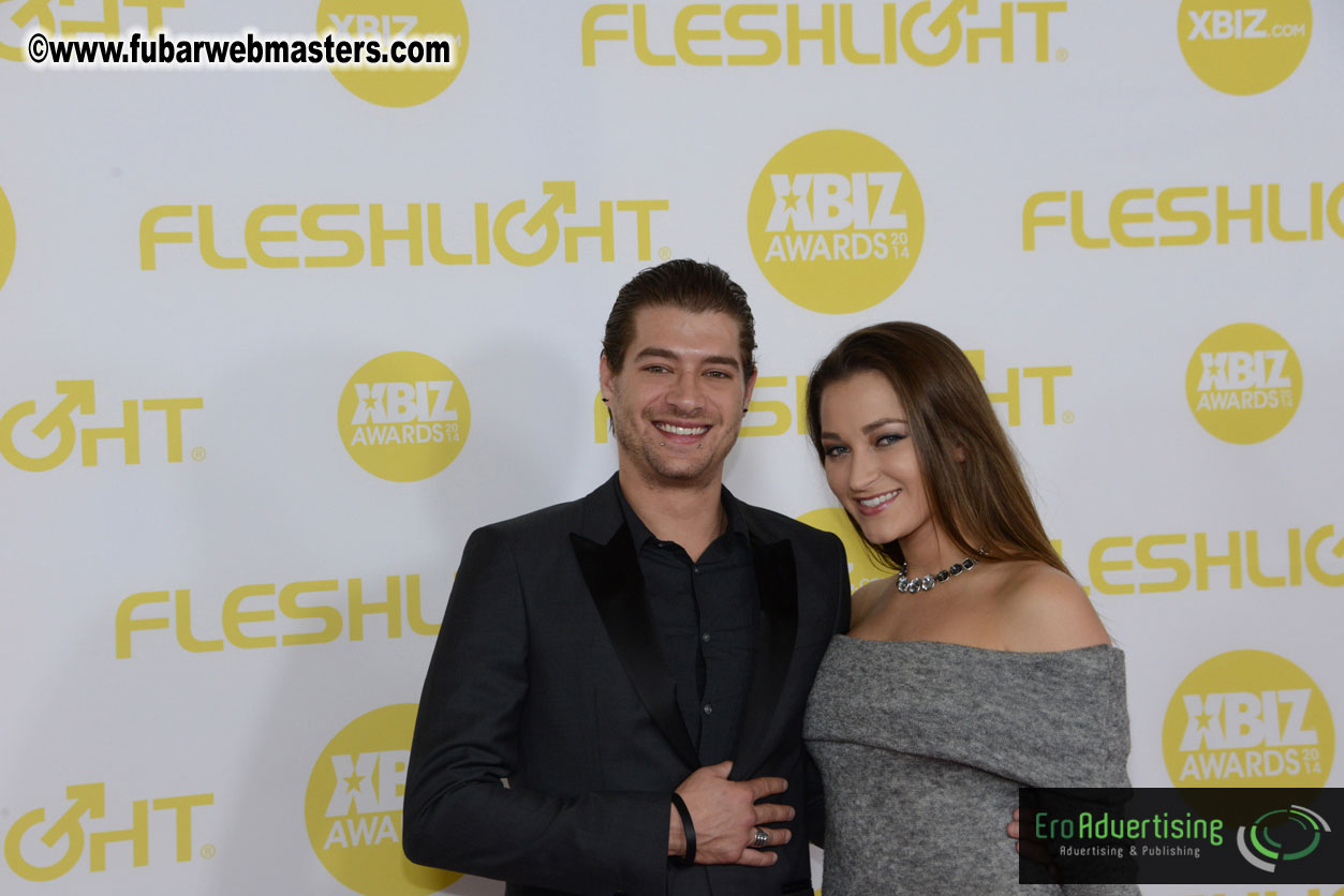 2014 XBIZ Awards