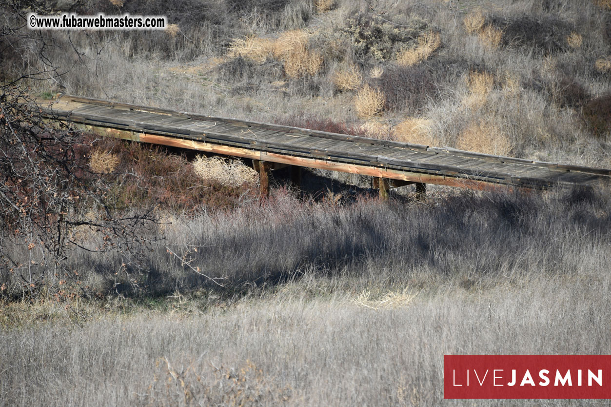 XBIZ Golf Tournament