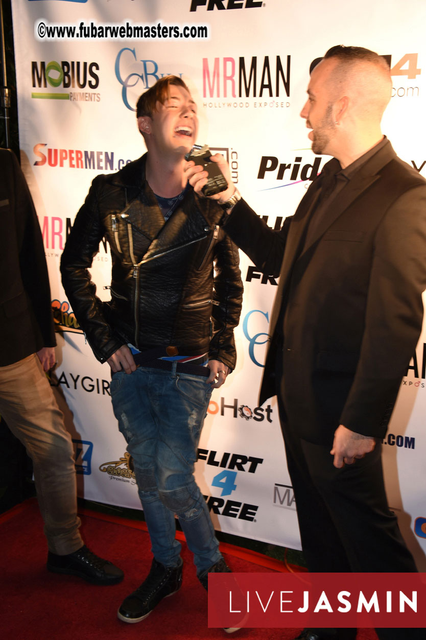 2016 Cybersocket Web Awards