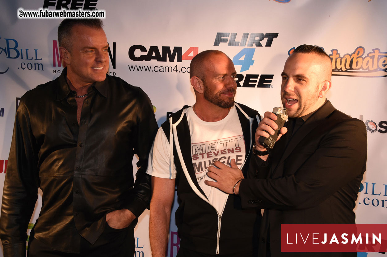 2016 Cybersocket Web Awards