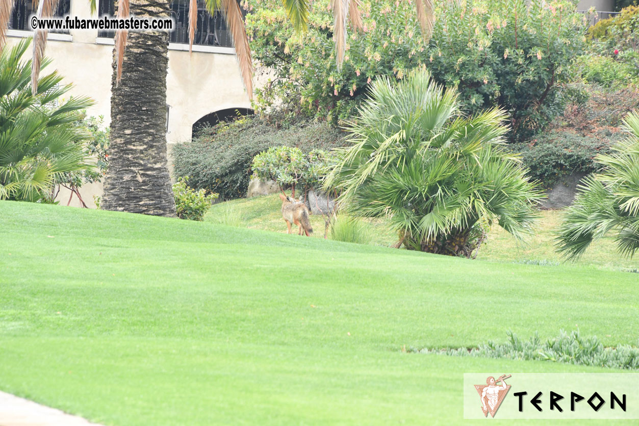 XBIZ Golf Tournament