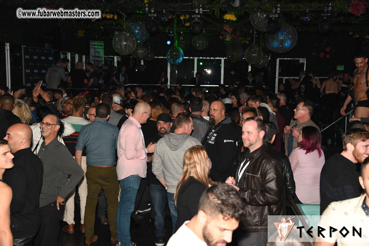 Cybersocket Web Awards