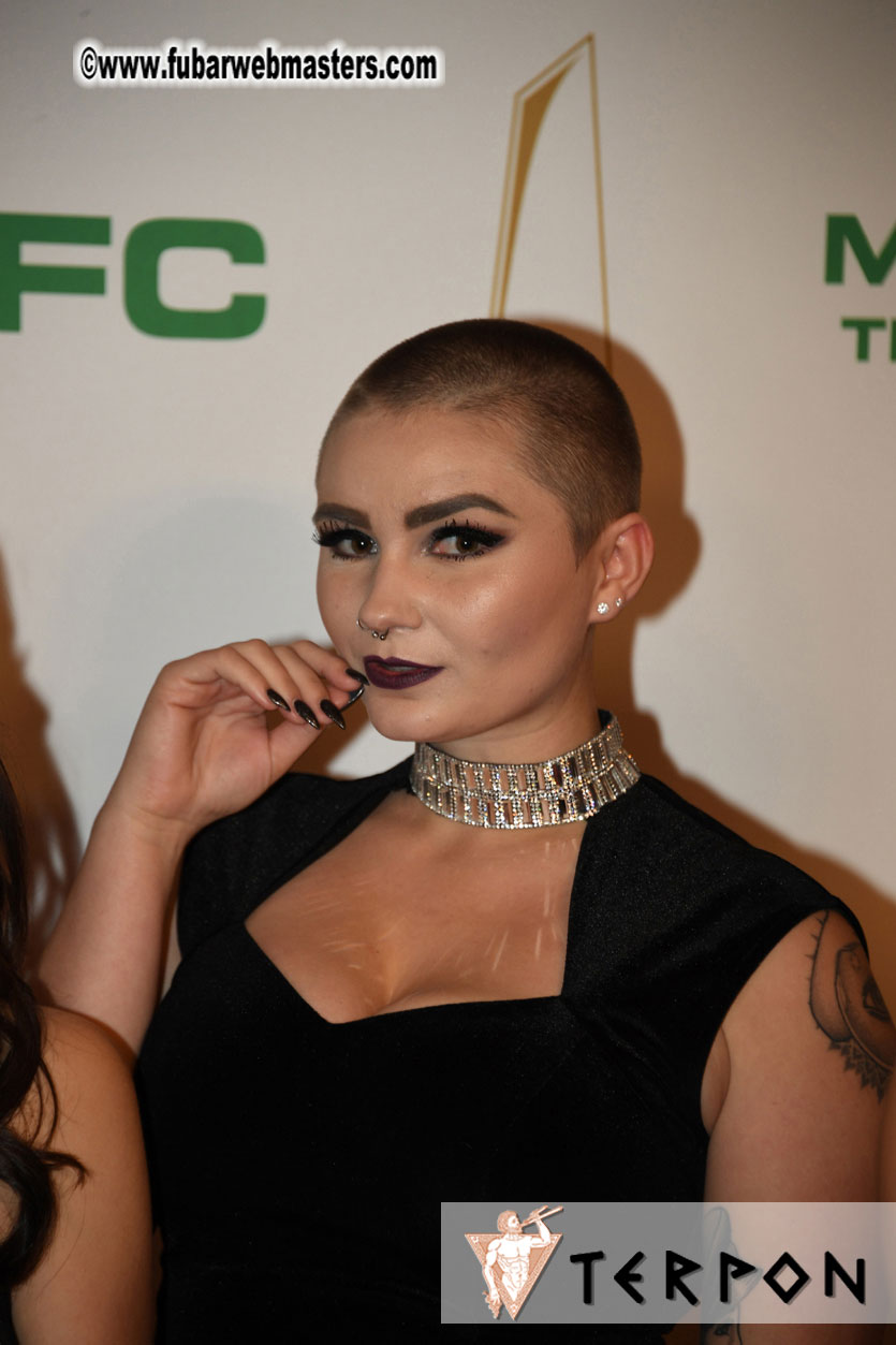 2017 XBIZ Awards Show