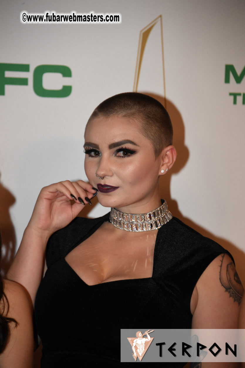 2017 XBIZ Awards Show