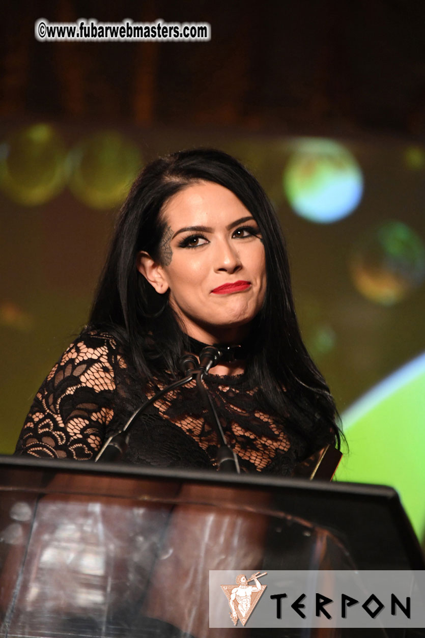 2017 XBIZ Awards Show