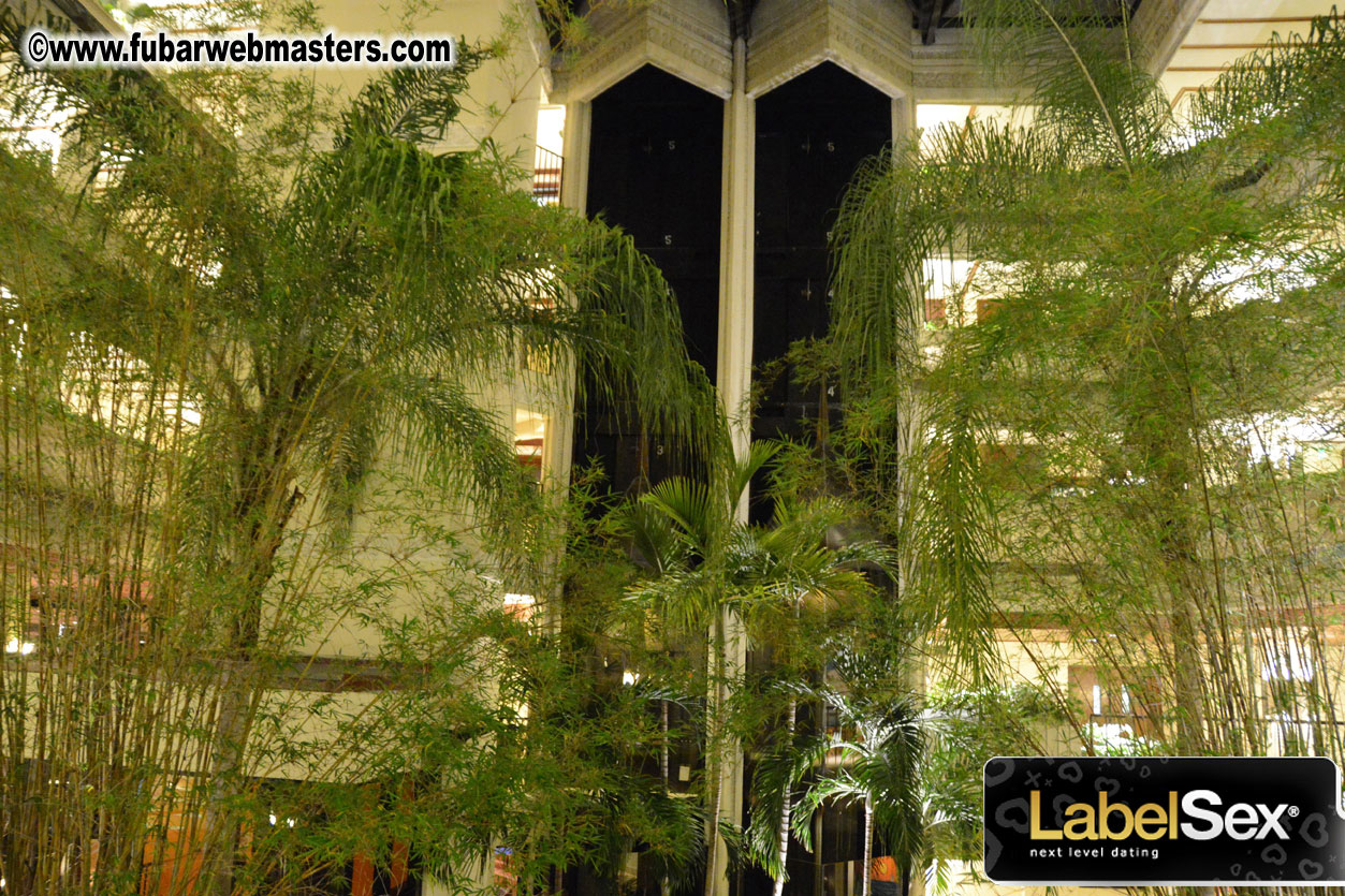 Early Birds at the Hotel