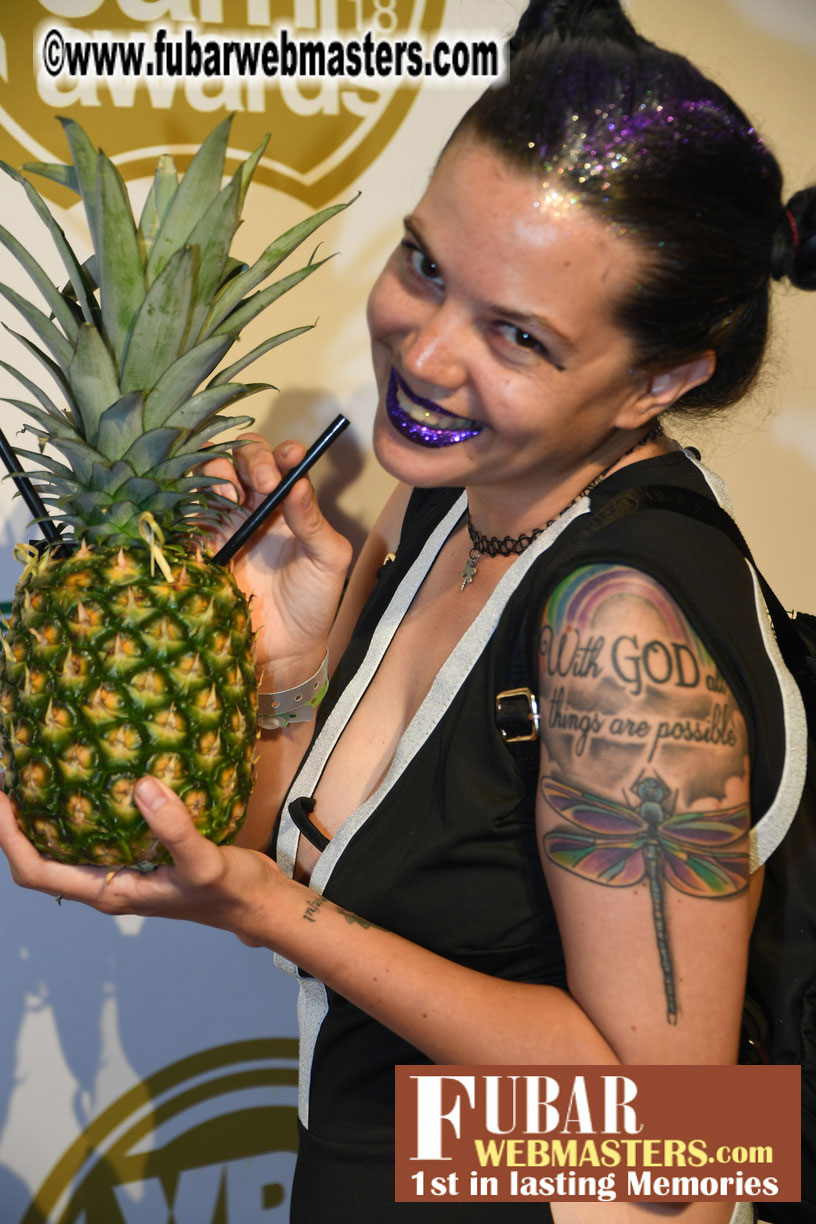 XBIZ Cam Awards Red Carpet