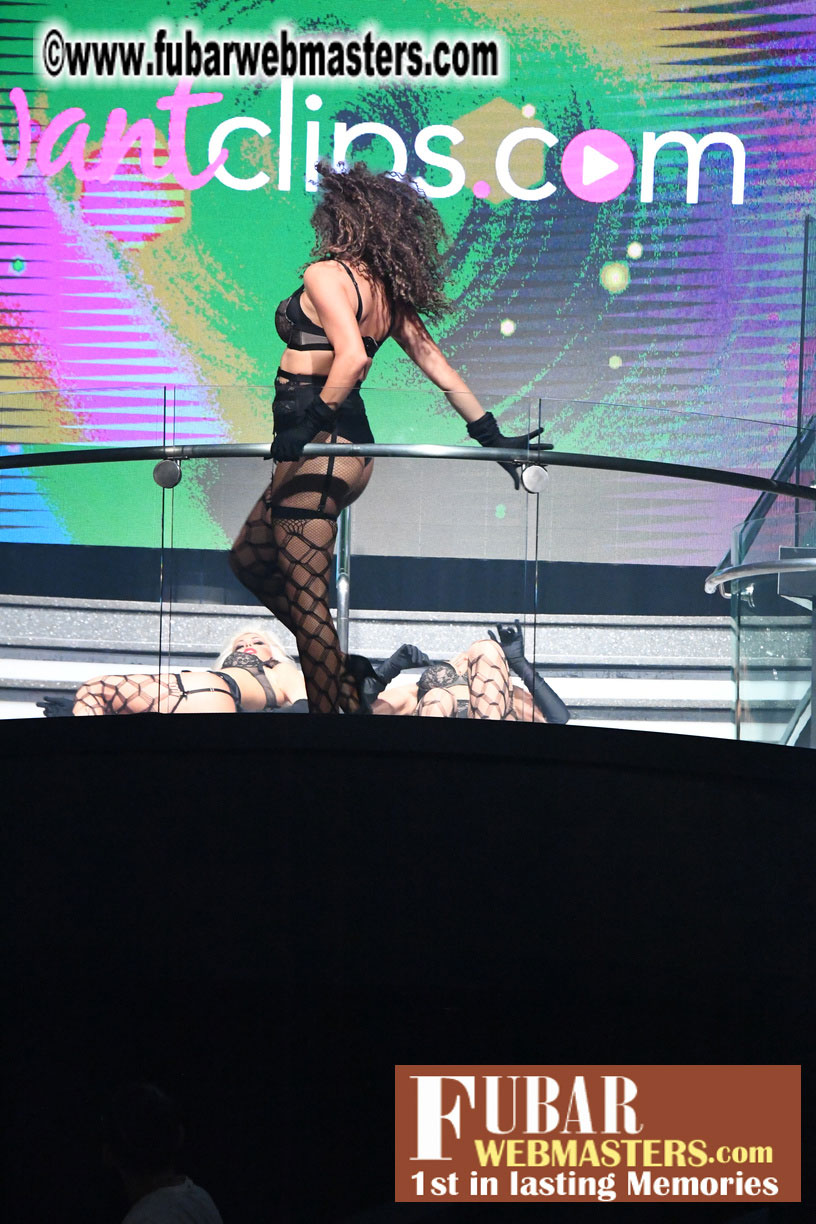 XBIZ Cam Awards Show