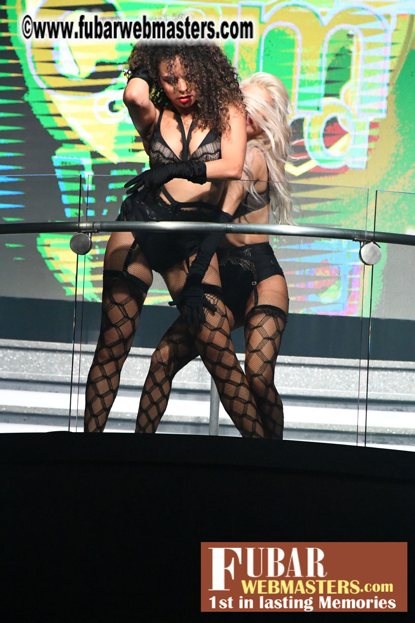 XBIZ Cam Awards Show