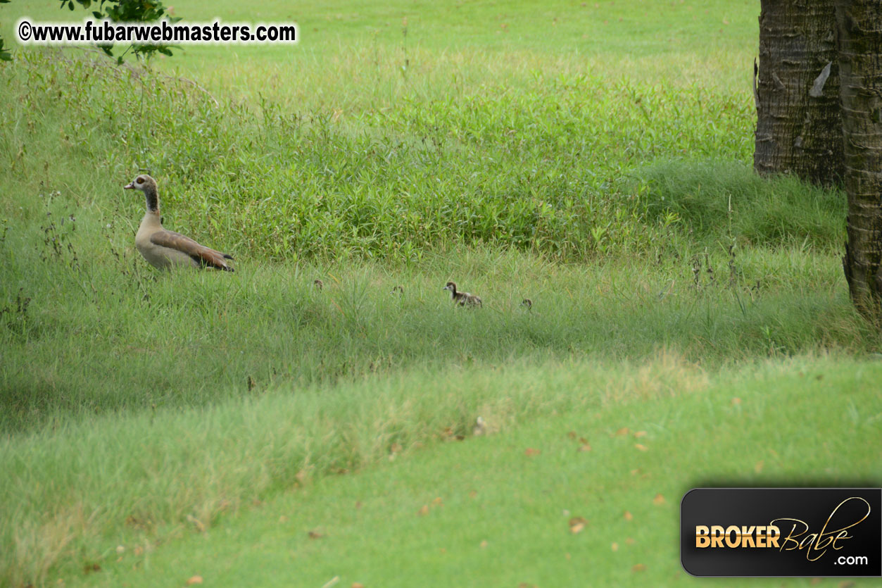 XBIZ Golf Tournament