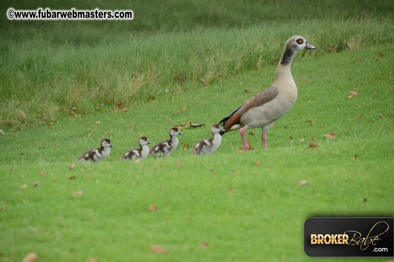 XBIZ Golf Tournament