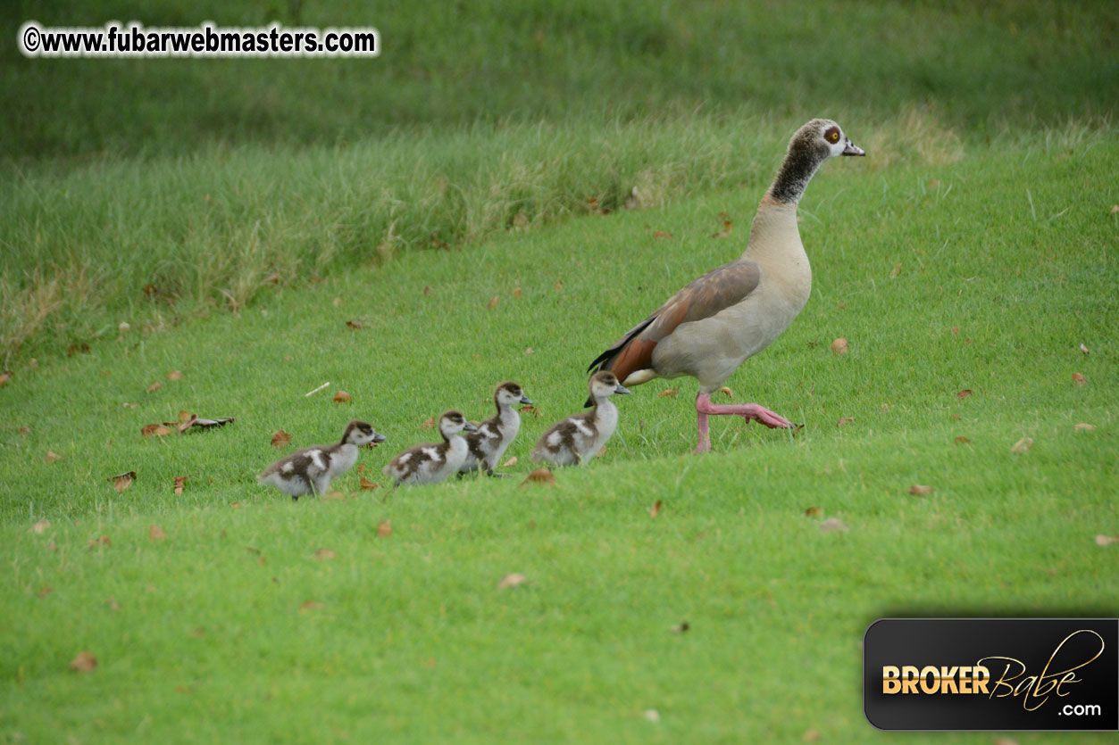 XBIZ Golf Tournament