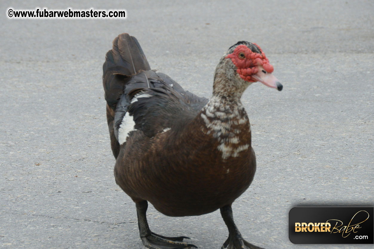 XBIZ Golf Tournament