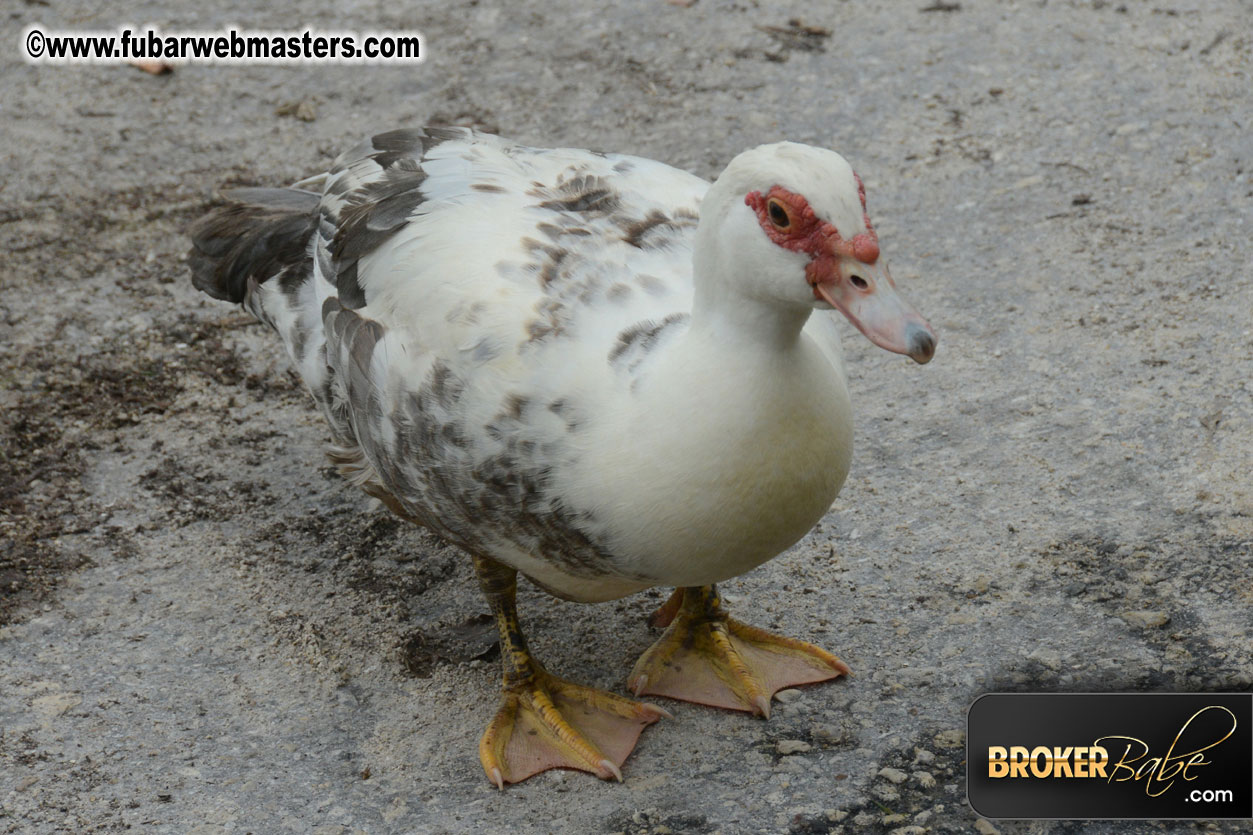 XBIZ Golf Tournament