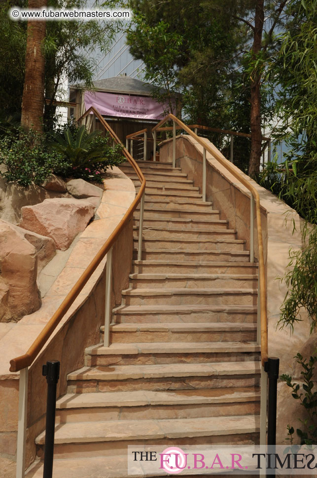 Cabanas and poolside
