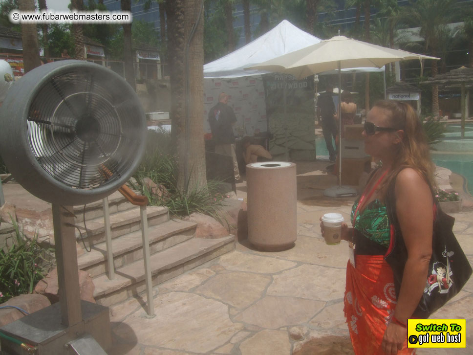 Cabanas and poolside