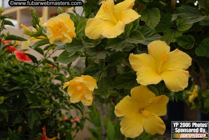 Brunch @ Palapa de Jose