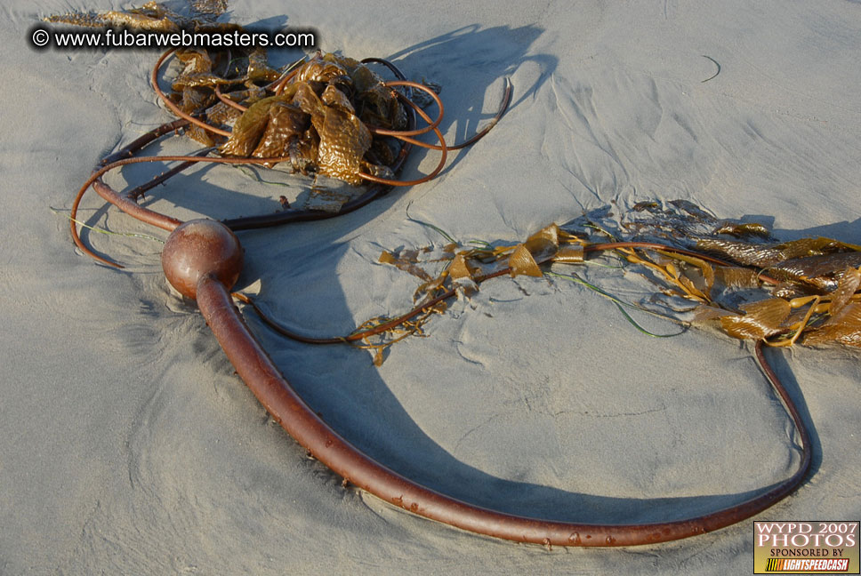 Saturday DareDevils in the Sky and other things