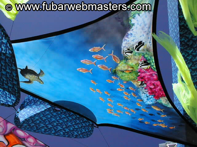 Gay Mega Sites Party 2002