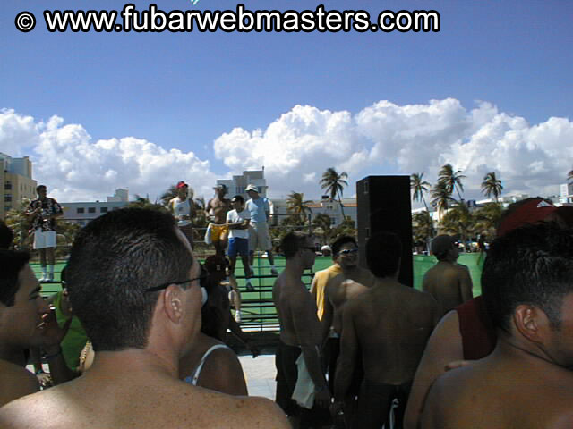 Gay Mega Sites Party 2002