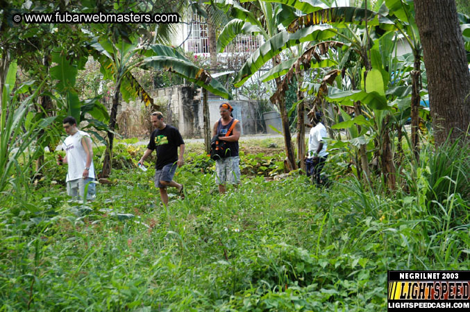 Plantation Ride  2003