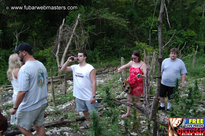 Plantation Ride  2003