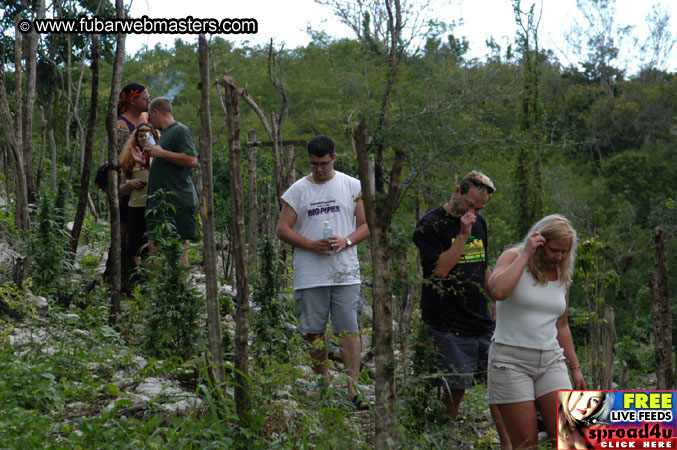 Plantation Ride  2003