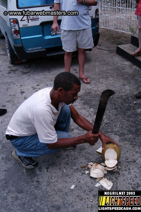 Plantation Ride  2003