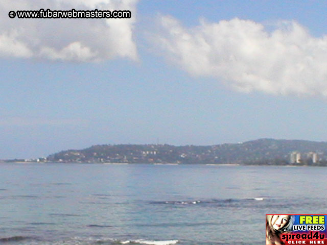 Oh Shit We Gotta Go Home  2003