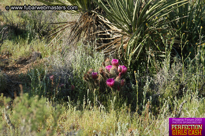 Desert Hummer Tour 2003