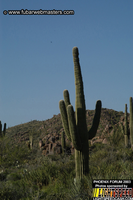 Desert Hummer Tour 2003