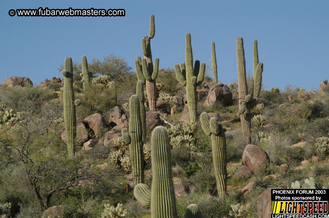 Desert Hummer Tour 2003