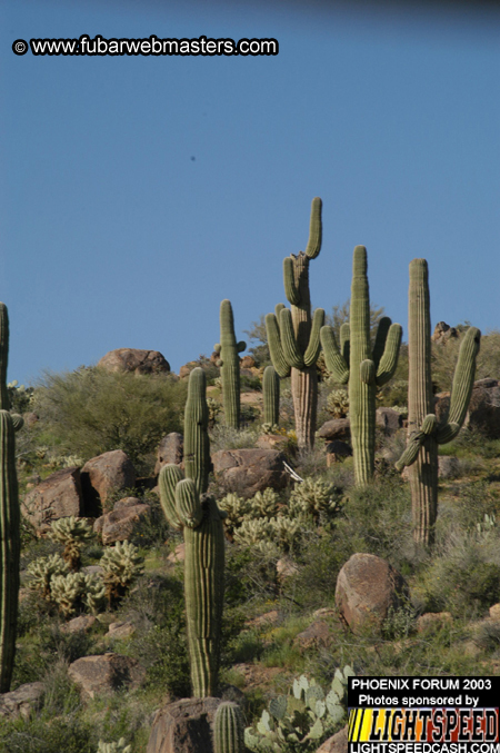 Desert Hummer Tour 2003