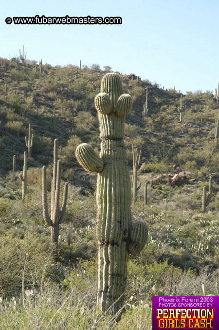 Desert Hummer Tour 2003