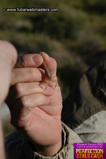 Desert Hummer Tour 2003