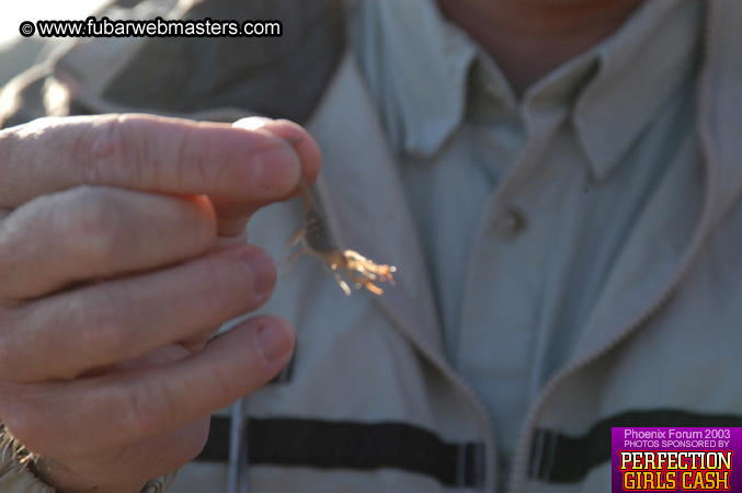 Desert Hummer Tour 2003