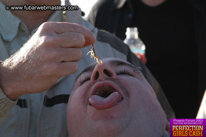 Desert Hummer Tour 2003