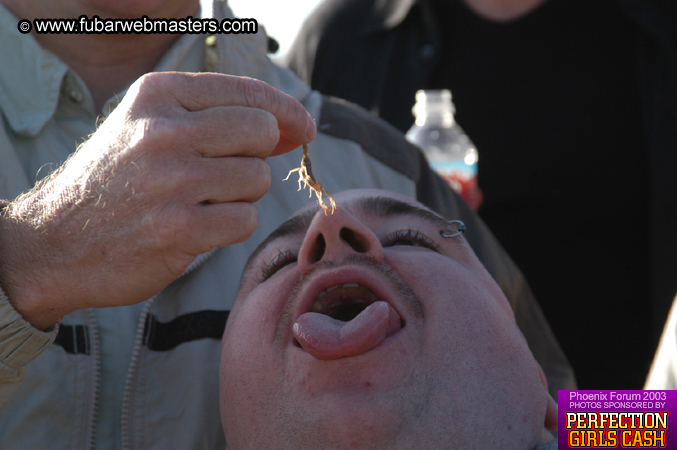 Desert Hummer Tour 2003