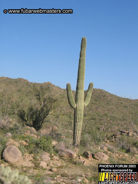 Desert Hummer Tour 2003