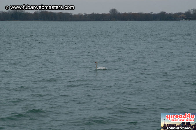 Toronto Sights  2003