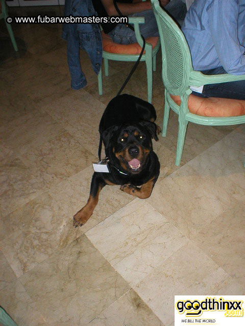 Gran Hotel Uto Palace 2003